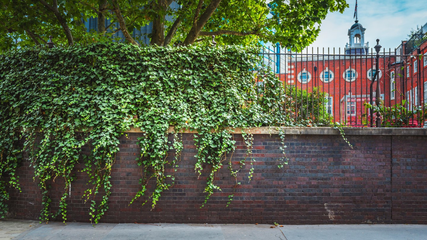 Default rates | TwentyFour Asset Management