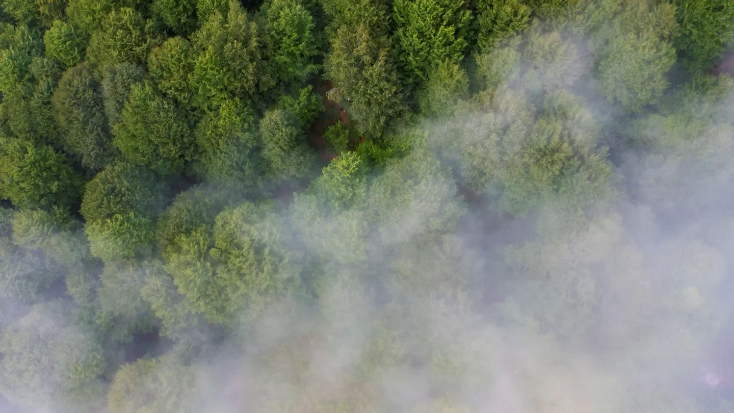 Spotlight on ESG: Unveiling the Greenwashing Smokescreen 