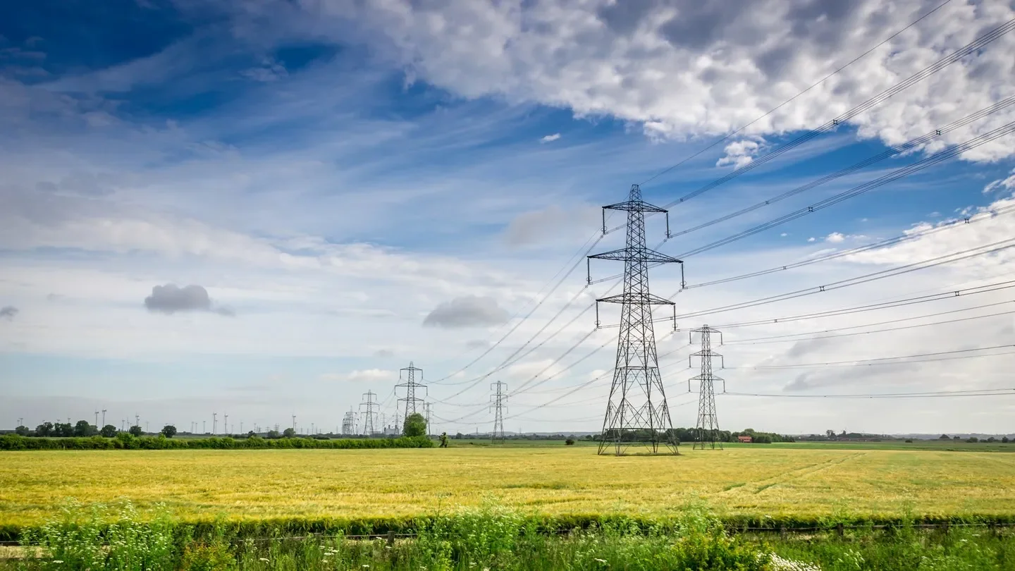 French government pulls the plug on EDF 