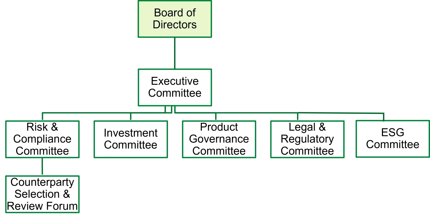 Board and Committee Structure