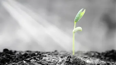 CLO value emerges ahead of likely autumn surge