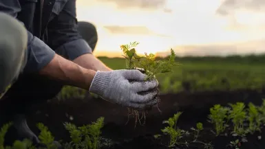 Improving growth forecasts matter for markets