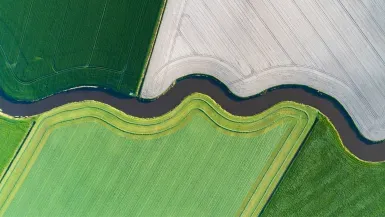 Finding returns through curve positioning 