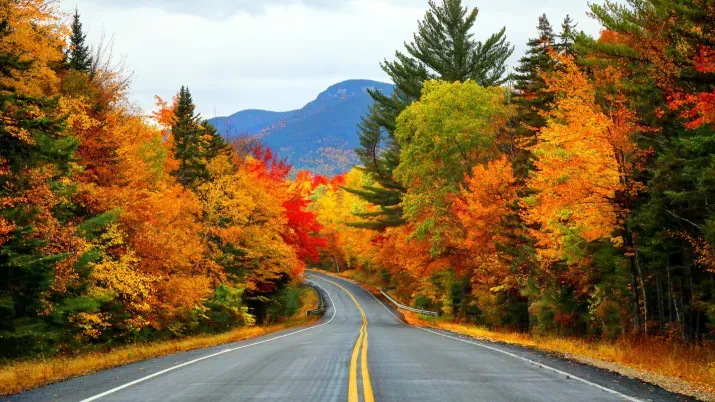investment grade quarterly update – october 2024
