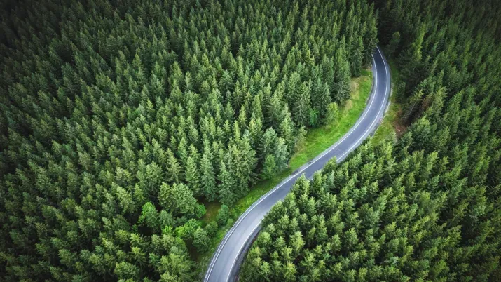 Sustainable Short Term Bond Income has been shortlisted for the ‘Best Sustainable Bond Fund’