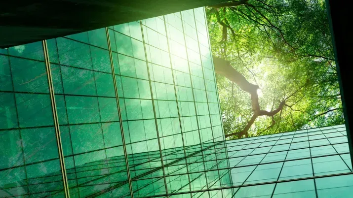 Why the end of the NZBA doesn’t mean the end of net zero