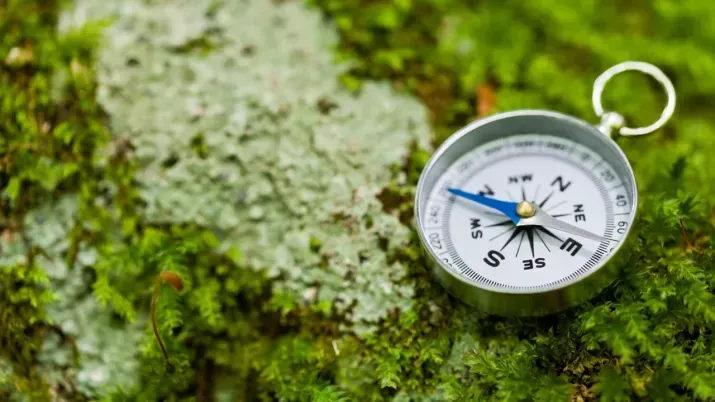 ABS: An untapped source of yield