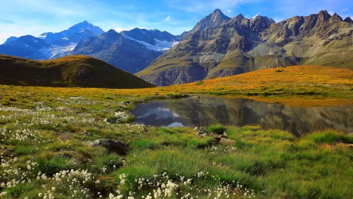 Strategic Income Quarterly Update – April 2023